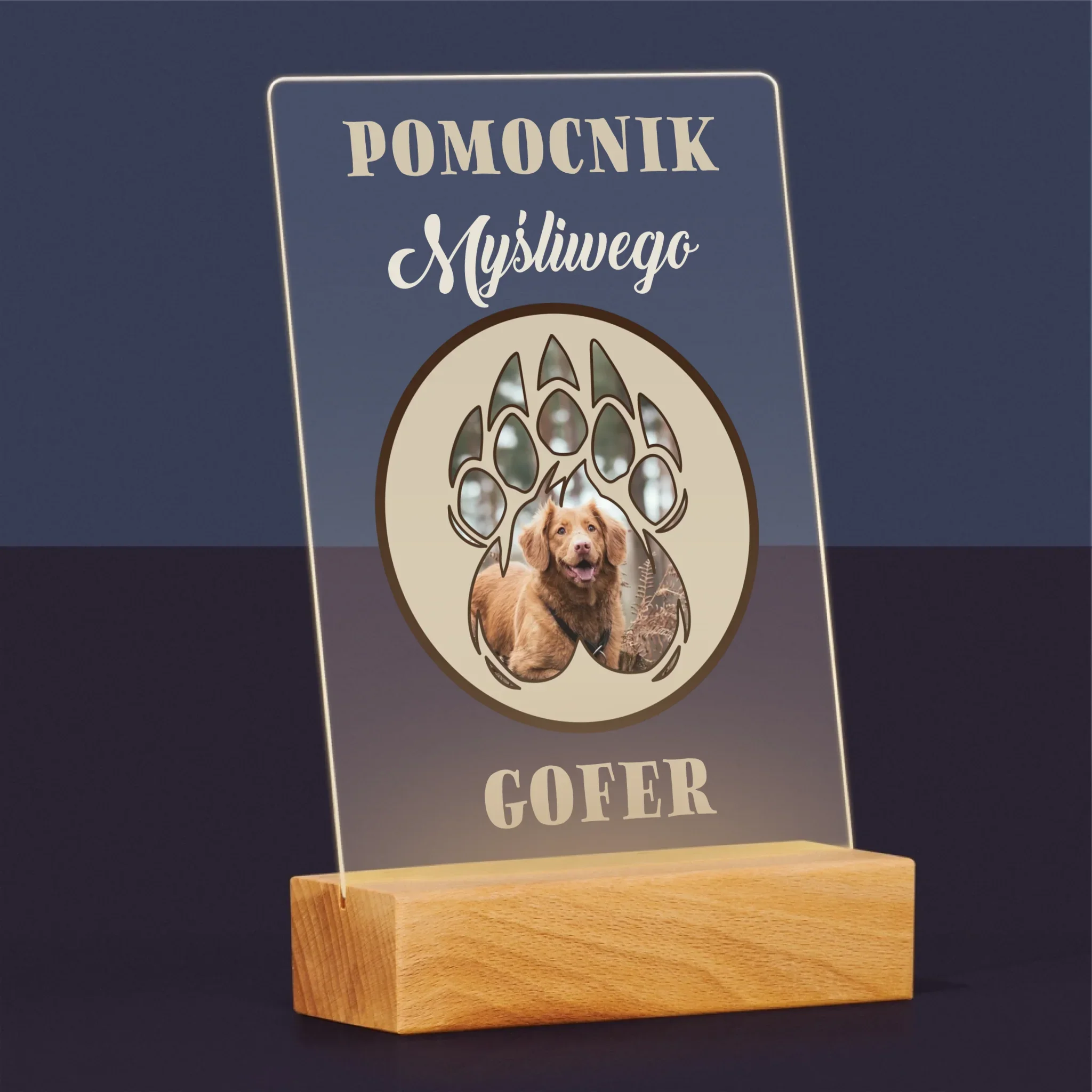 Zdjęcie produktu 5