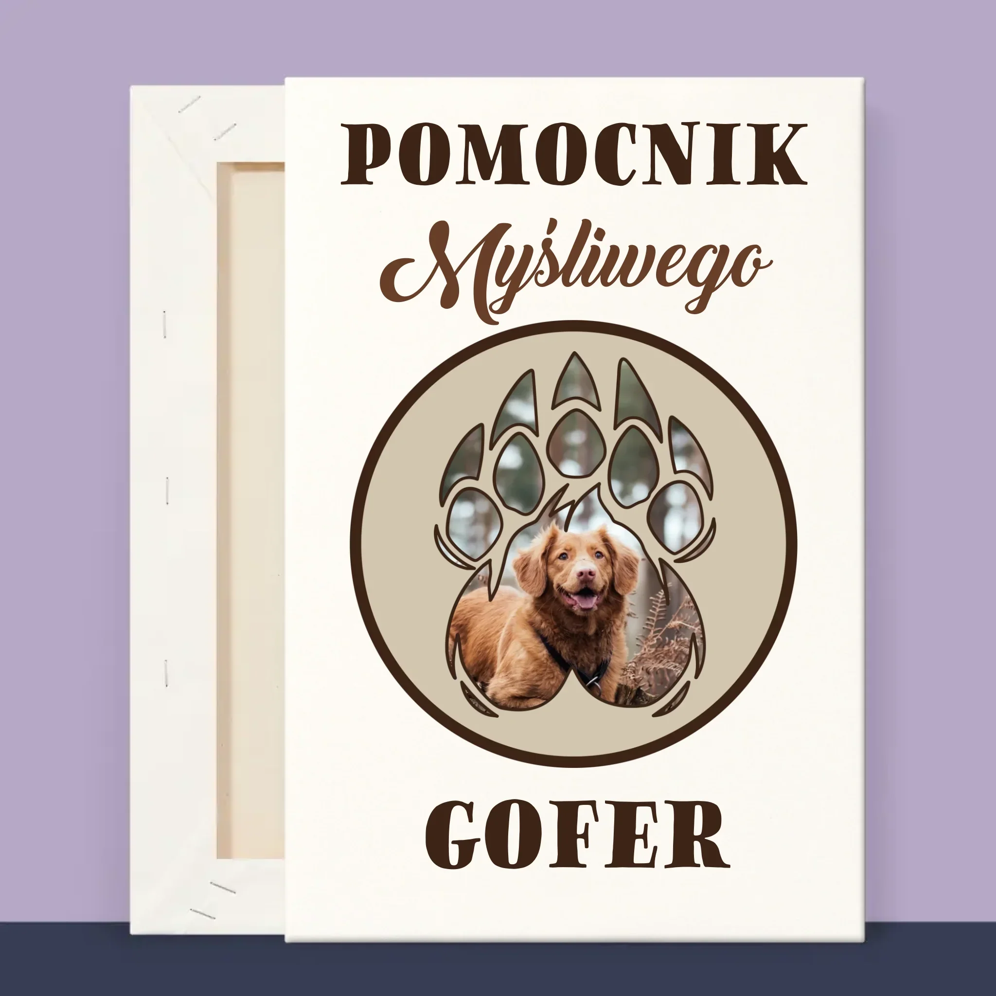 Zdjęcie produktu 12