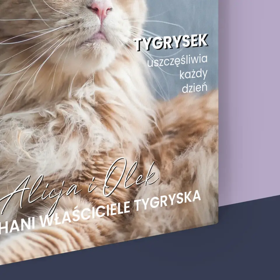 Zdjęcie produktu 16