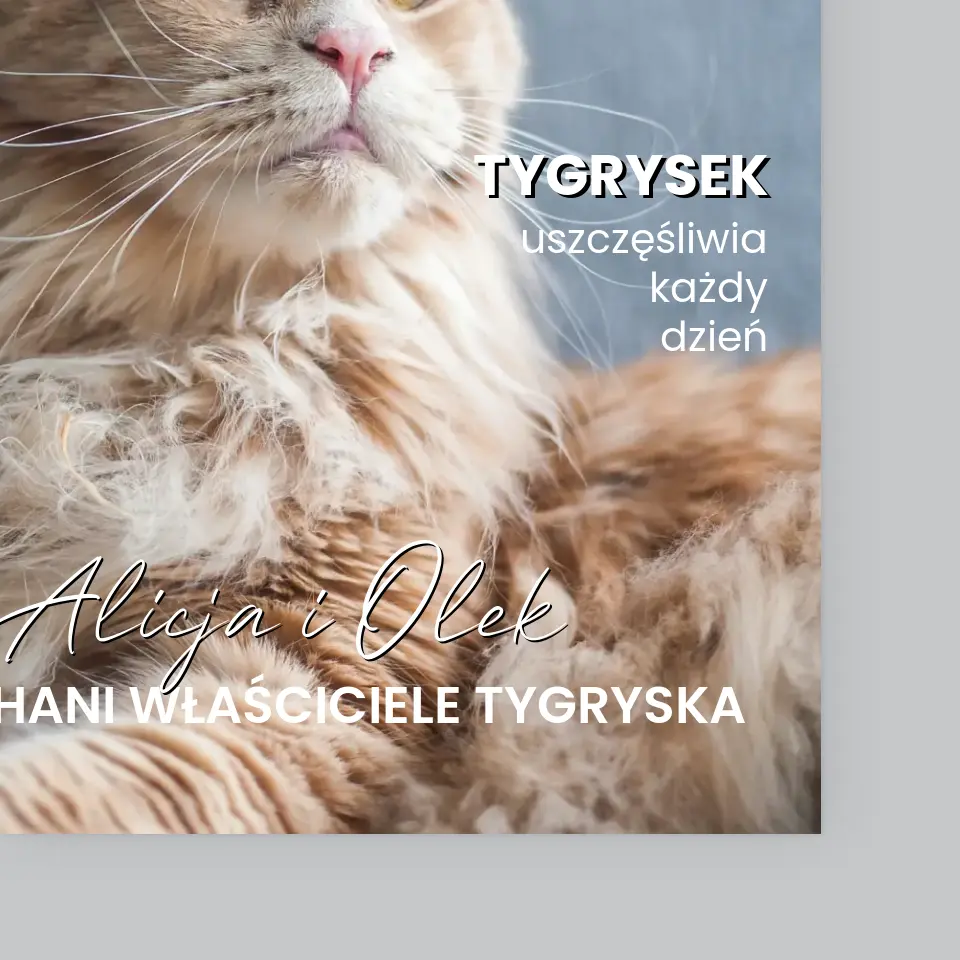 Zdjęcie produktu 4