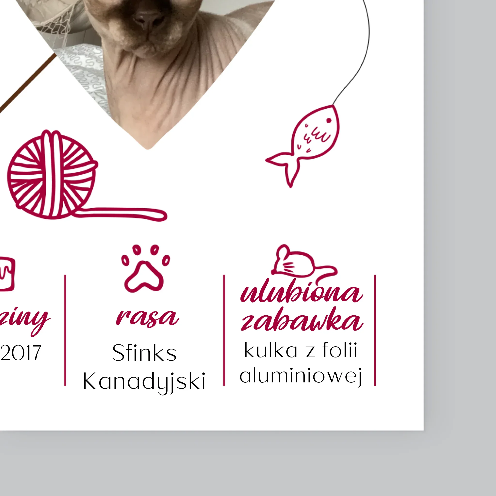 Zdjęcie produktu 11