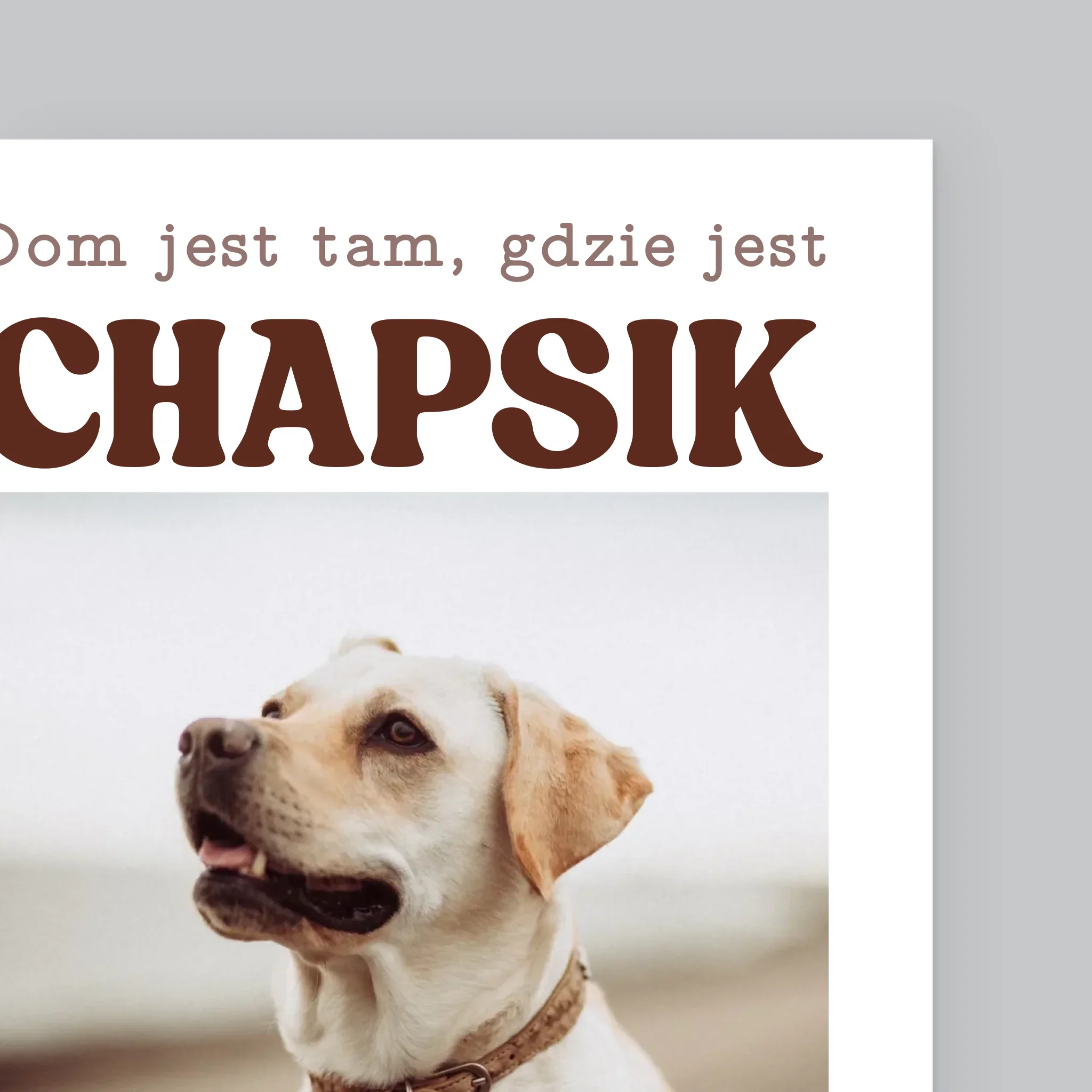 Zdjęcie produktu 10