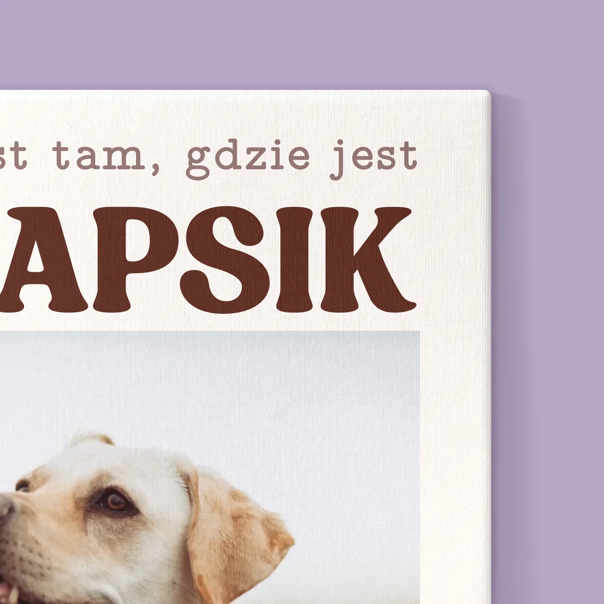 Zdjęcie produktu 15