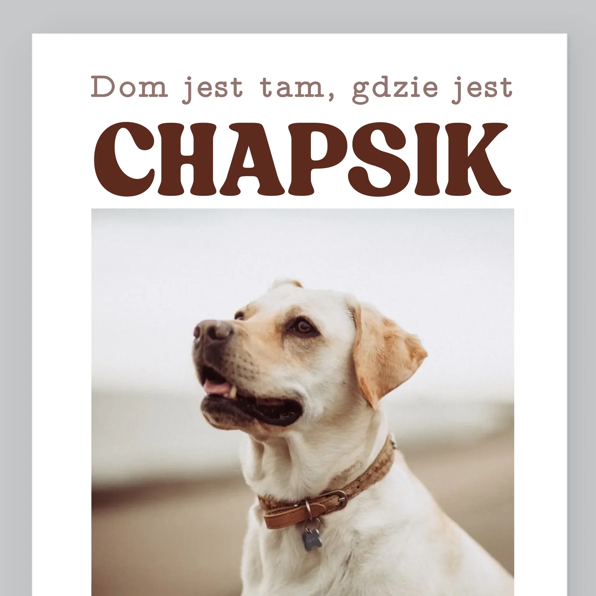 Zdjęcie produktu 9