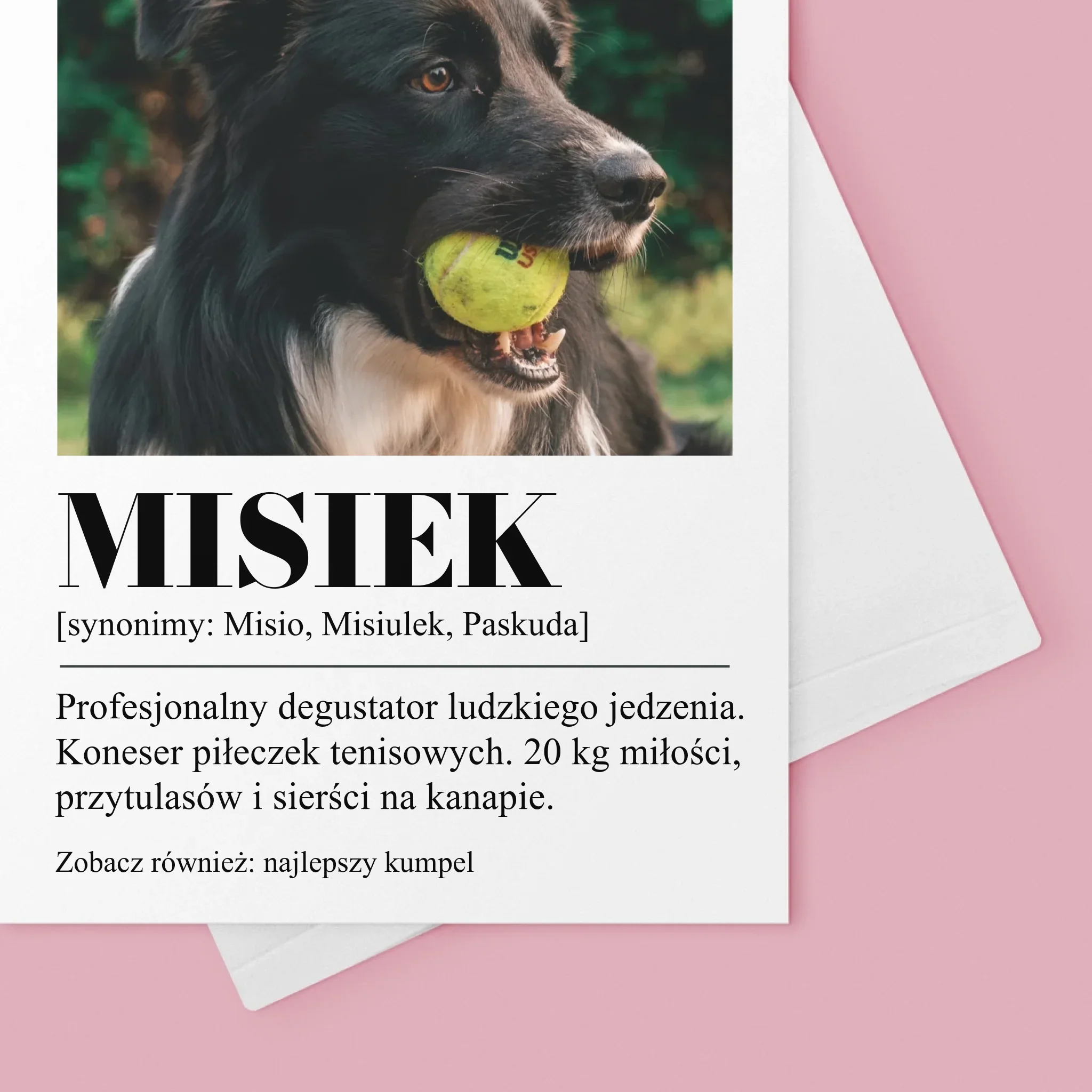 Zdjęcie produktu 4