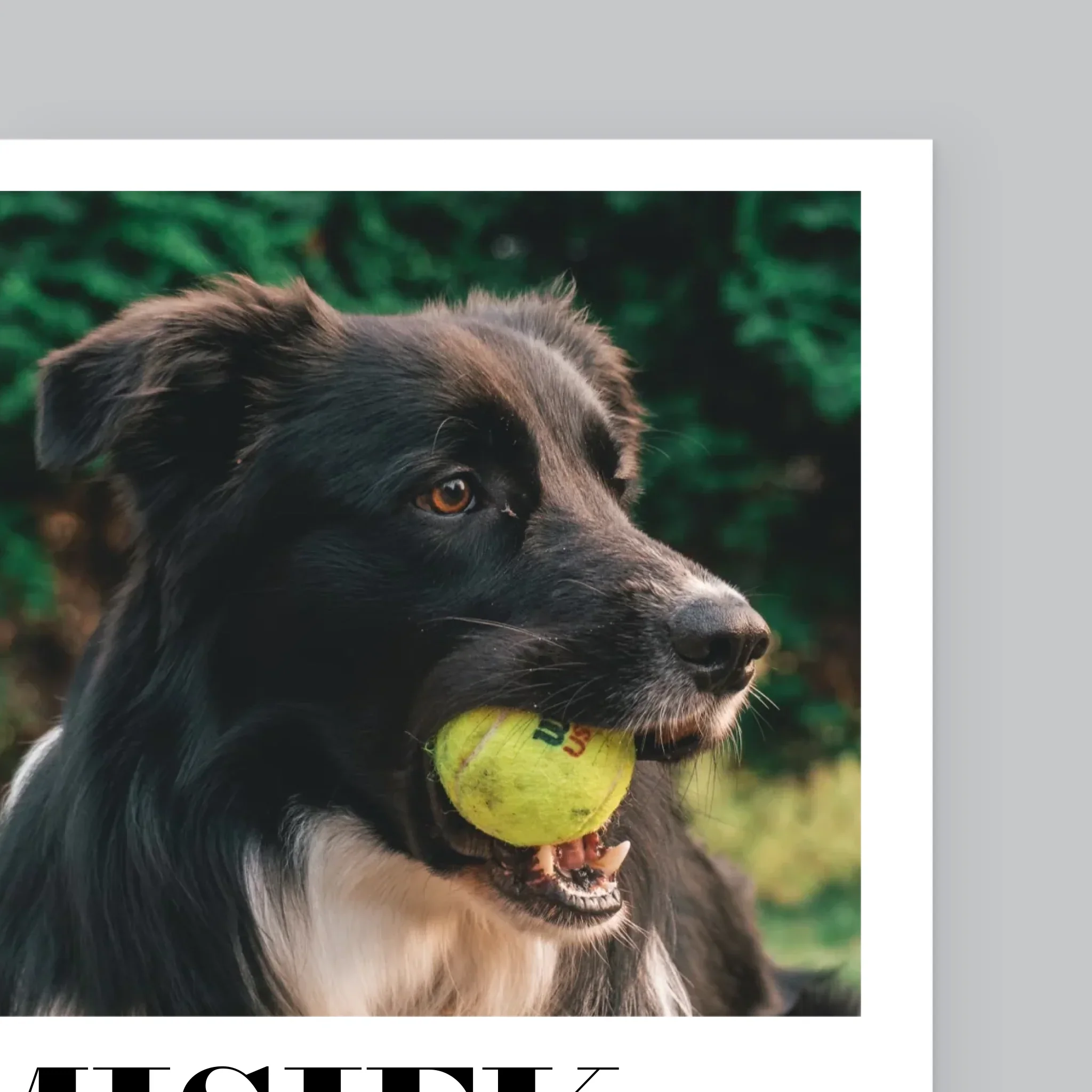Zdjęcie produktu 10