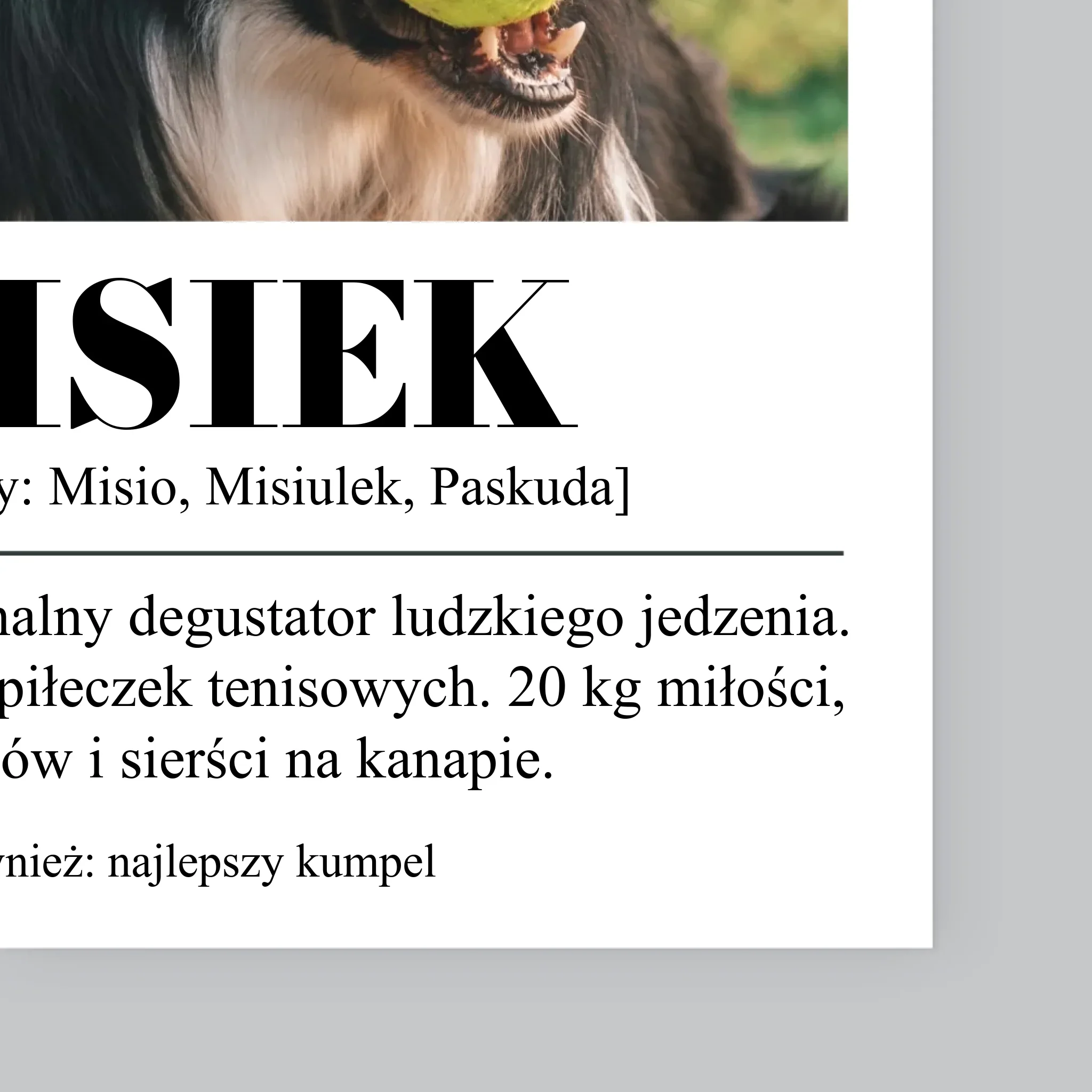 Zdjęcie produktu 11