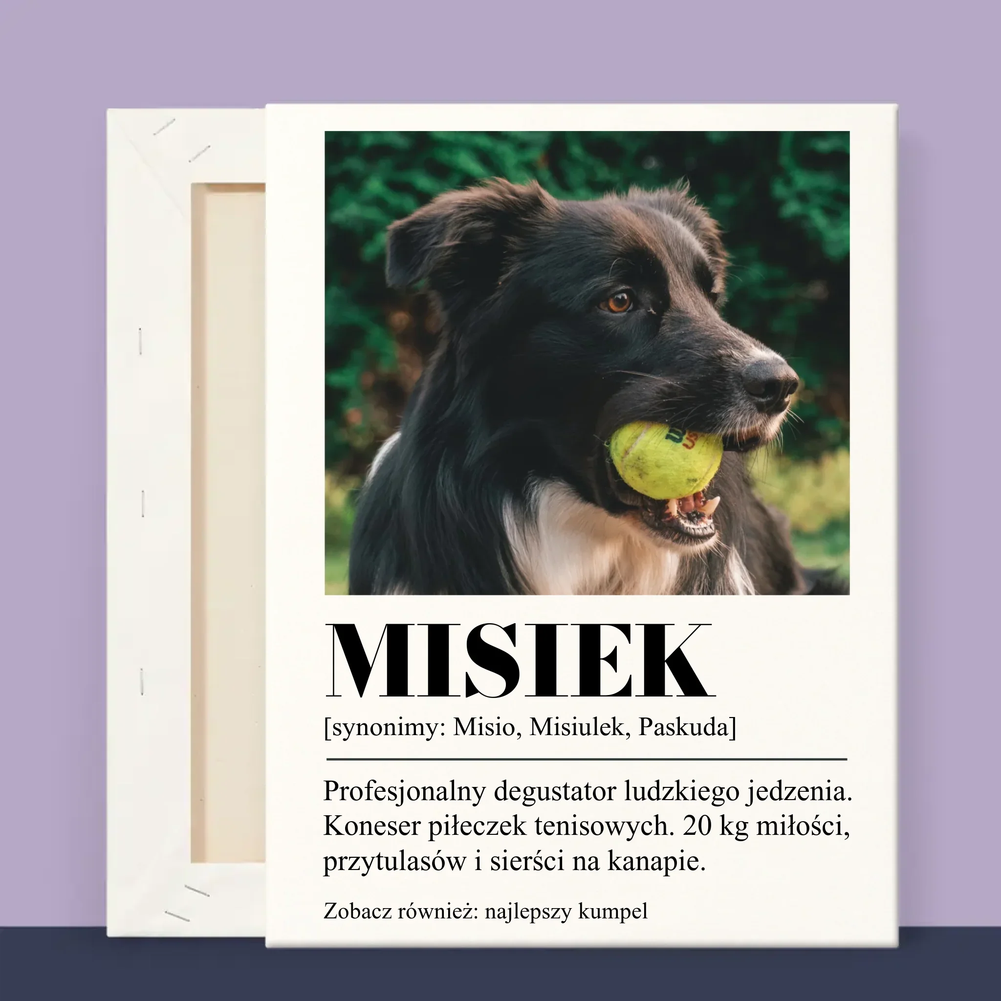 Zdjęcie produktu 12
