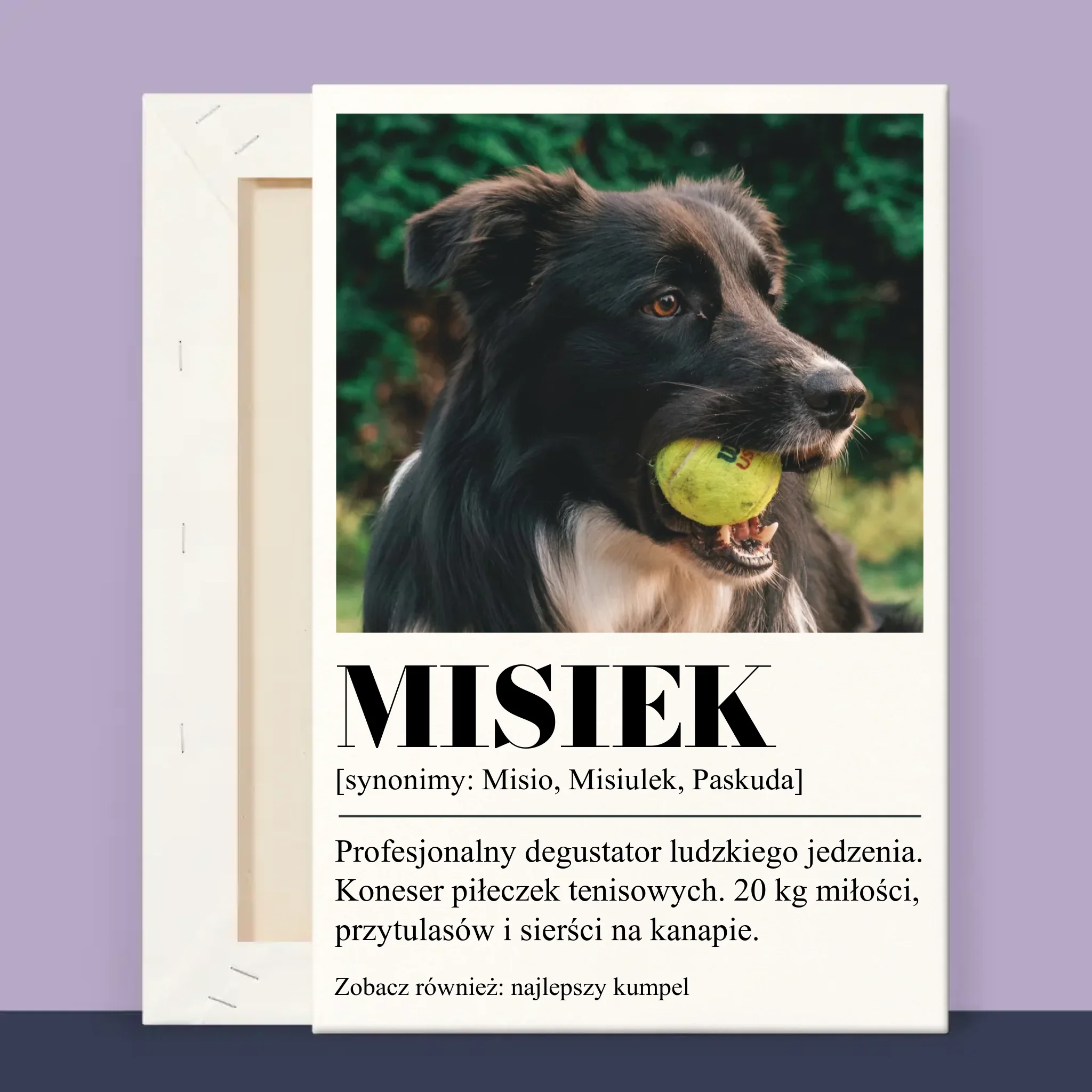 Zdjęcie produktu 13