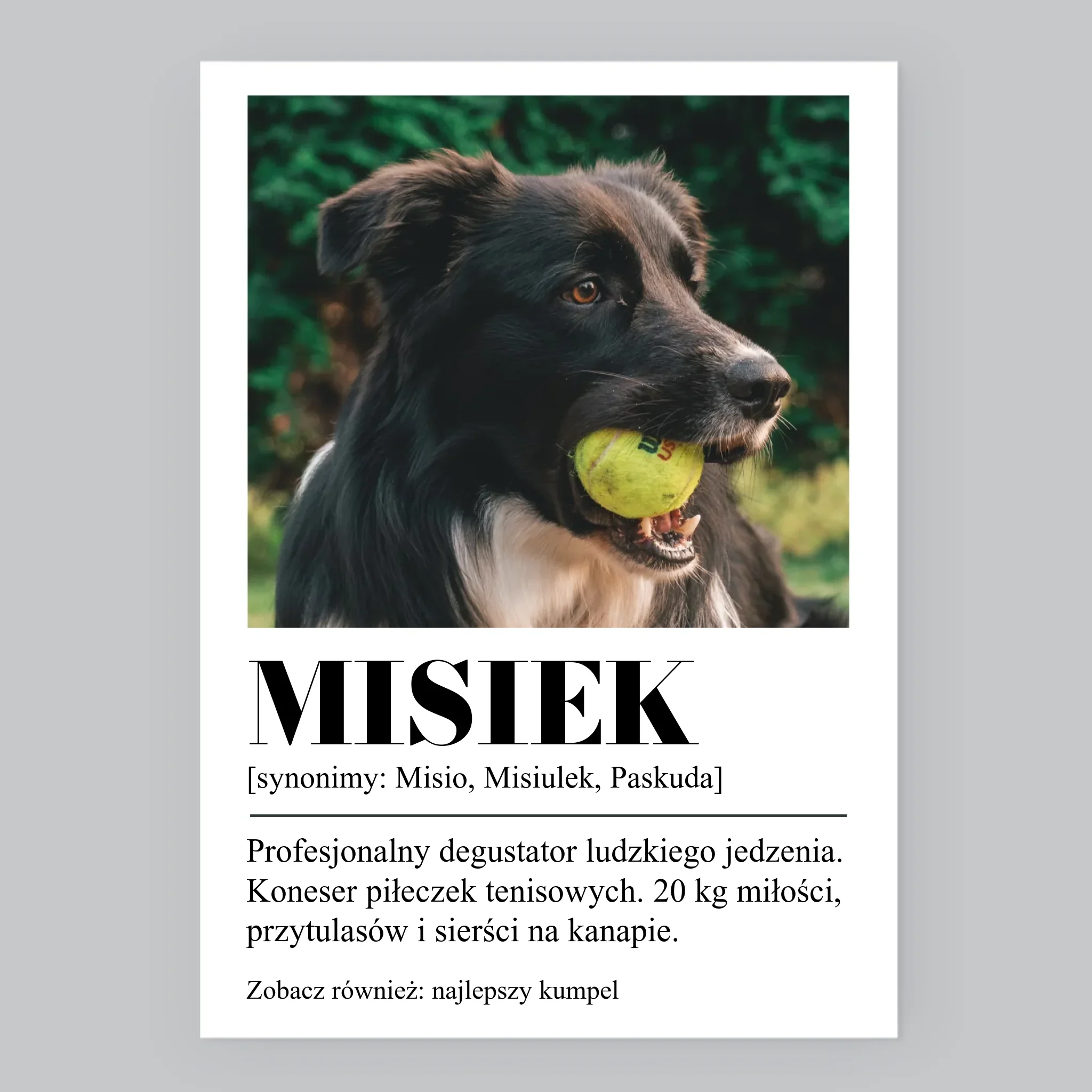 Zdjęcie produktu 8