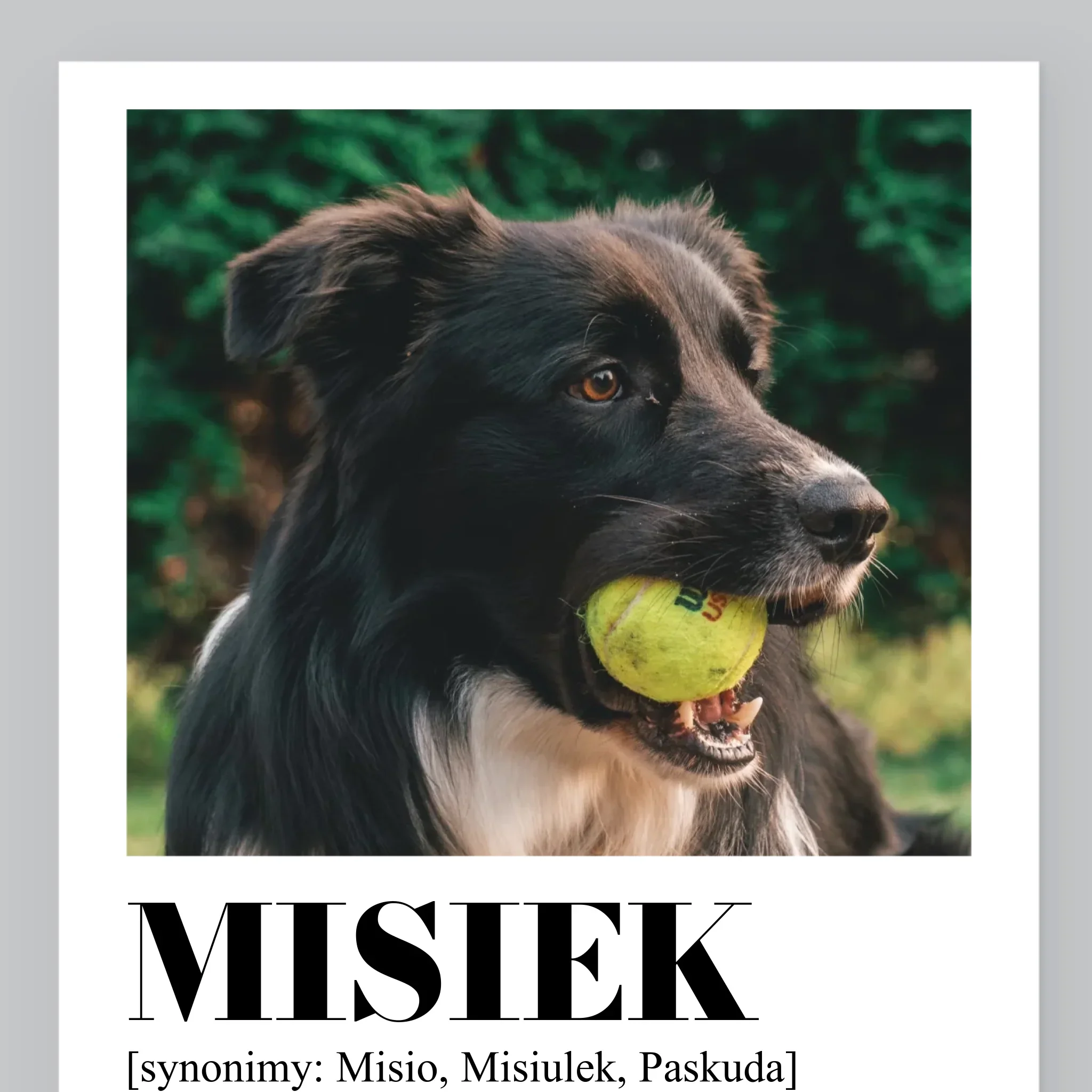 Zdjęcie produktu 9