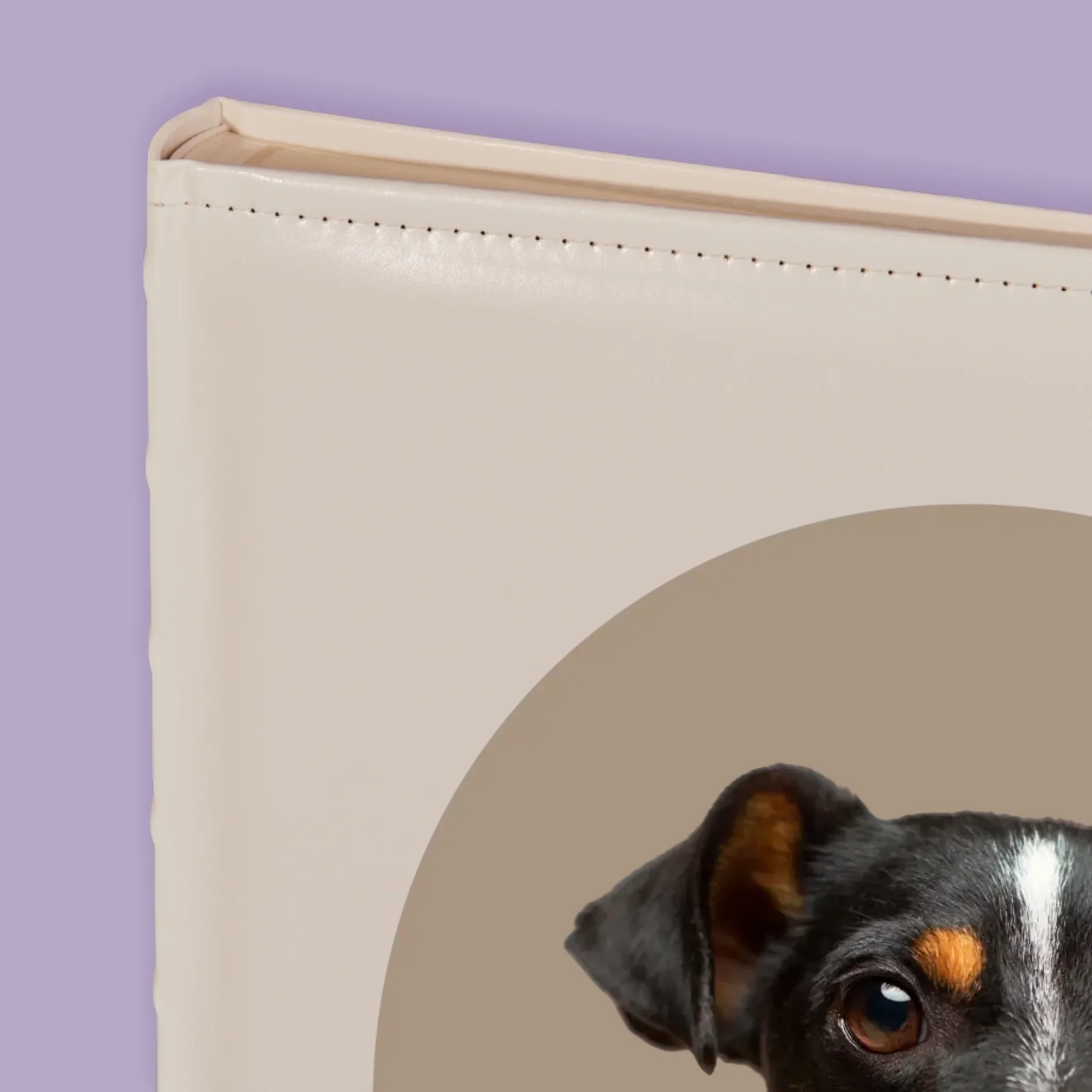 Zdjęcie produktu 4